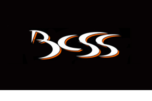 Brian Car Sounds Security (BCSS) Logo