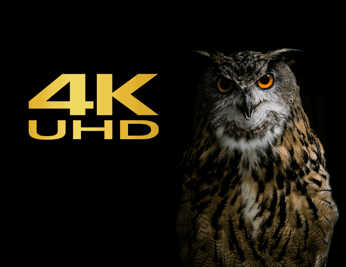 4K Ultra HD with Dash Cam